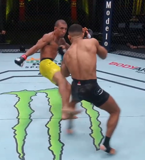 Raoni Barcelos leg kicks Khalid Taha