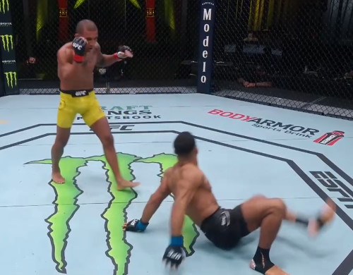 Raoni Barcelos leg kicks Khalid Taha